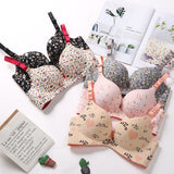 Sexy Women Push Up Bra