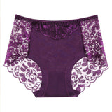 Sexy Lace Panties Women Underwear Briefs Nylon Silk for Ladies Bikini Transparent Lingerie M L XL XXL XXXL