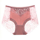 Sexy Lace Panties Women Underwear Briefs Nylon Silk for Ladies Bikini Transparent Lingerie M L XL XXL XXXL