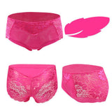 Sexy Lace Panties Women Underwear Briefs Nylon Silk for Ladies Bikini Transparent Lingerie M L XL XXL XXXL