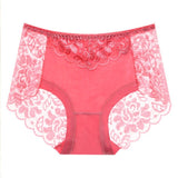Sexy Lace Panties Women Underwear Briefs Nylon Silk for Ladies Bikini Transparent Lingerie M L XL XXL XXXL